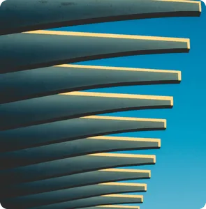 From Idea to Market Leader: A Startup's Journey to Success